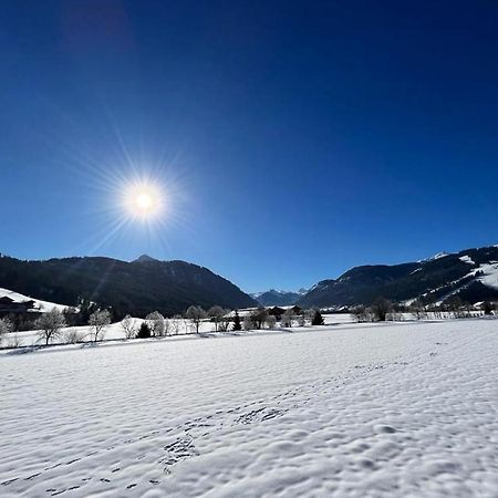 Haus Vogelmuehle Apartamento Flachau Exterior foto
